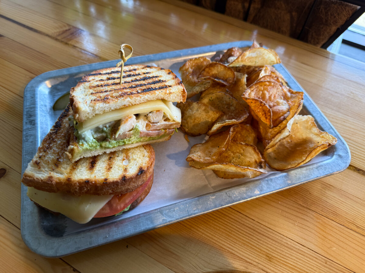 Miss Daisy's Sourdough Panini with a side of homemade chips.
